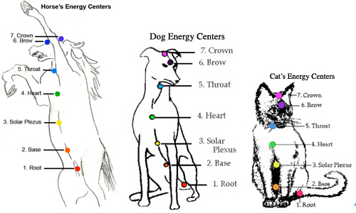 Animal Energy Centers